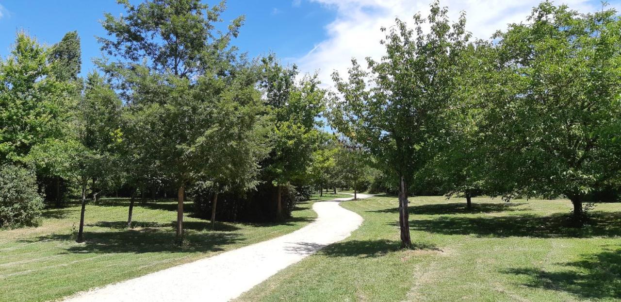 Charmant Logement Avec Piscine Bergerac Exterior foto